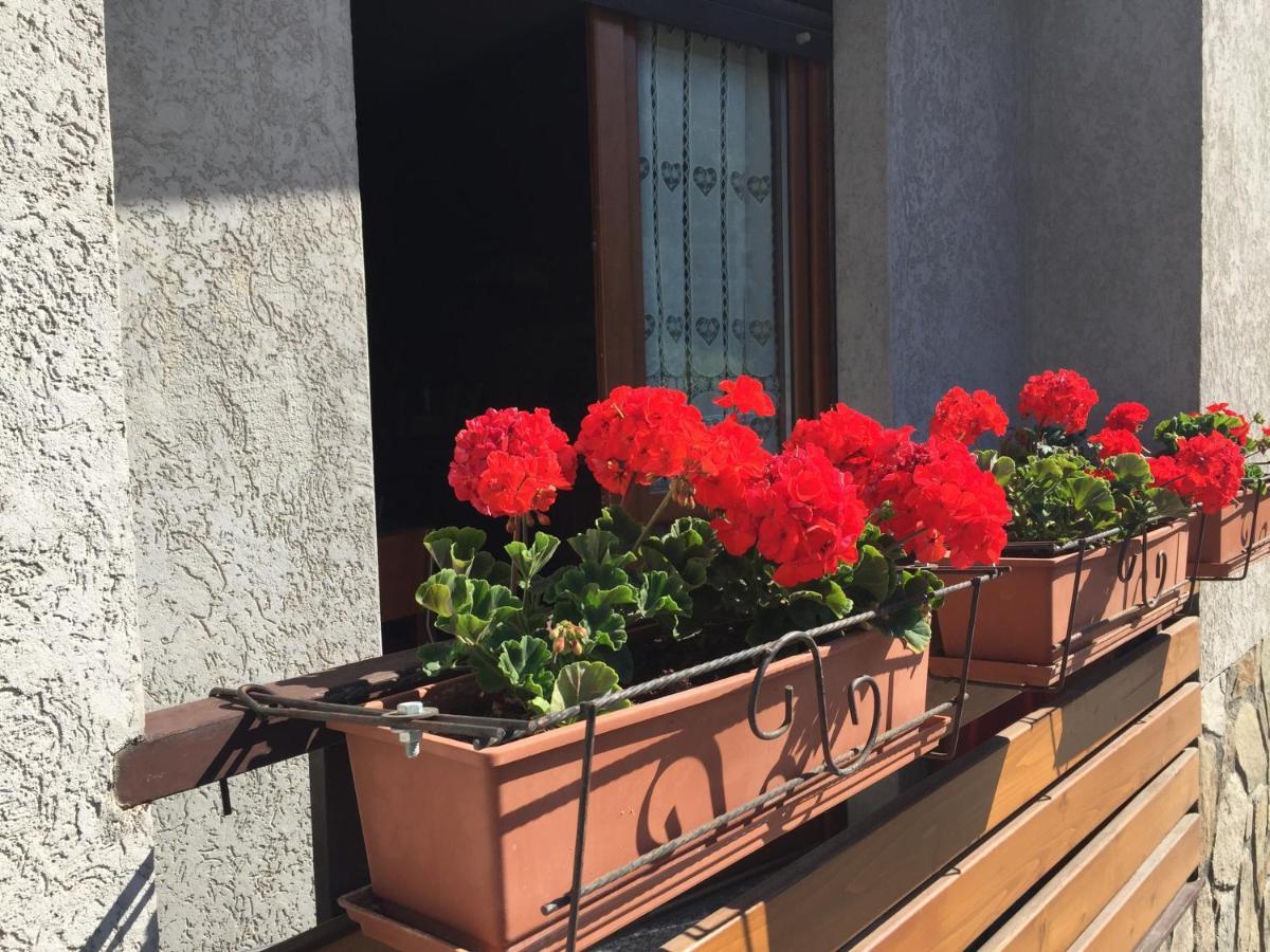 Residenza In Zona Pontedilegno T02034 *
